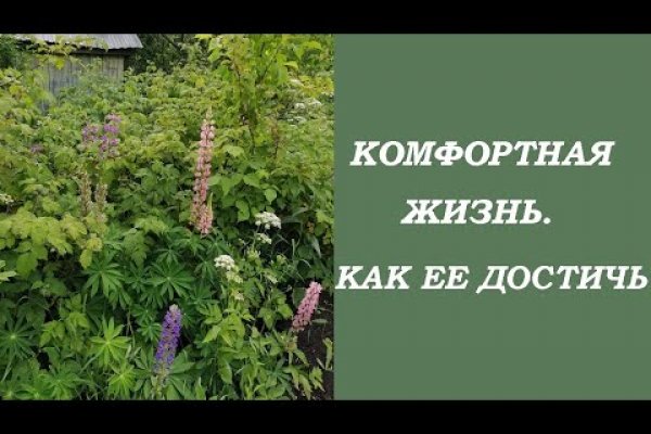 Что с кракеном сайт