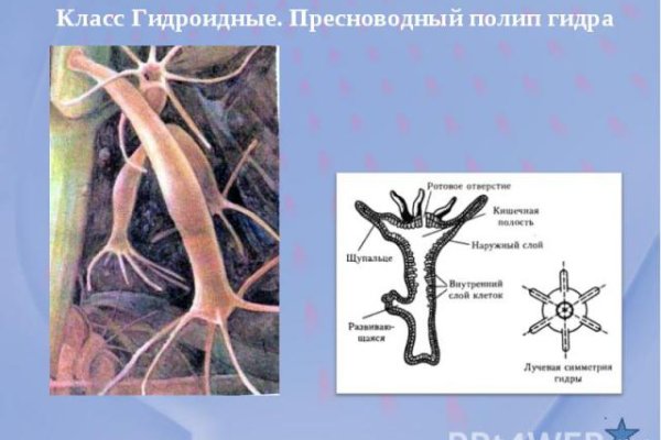 Как зарегистрироваться на кракене